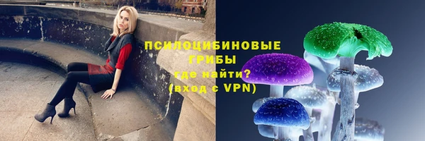 PSILOCYBIN Киреевск