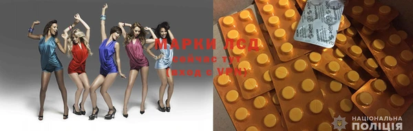 PSILOCYBIN Киреевск
