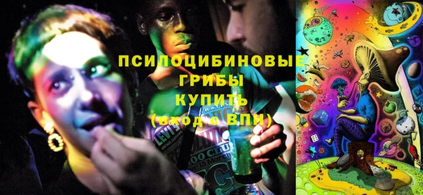 PSILOCYBIN Киреевск